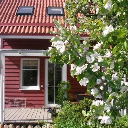 Apartamentai Obelyne Apartment